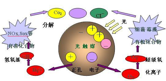 光触媒除甲醛的能力究竟有多大？除甲醛新方式