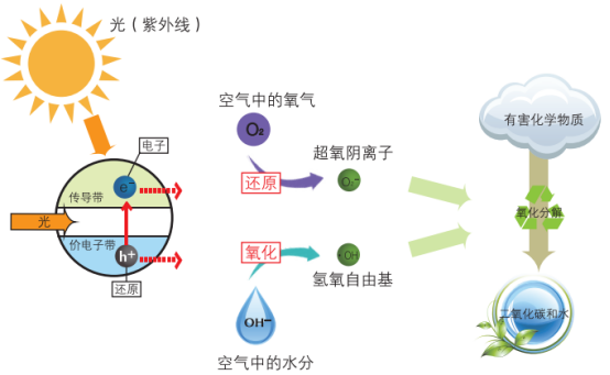 没有紫外线光触媒能不能除甲醛？