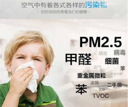 为何除甲醛加盟环保项目会如此火爆