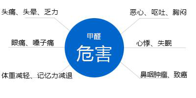 甲醛的危害影响人体健康，除甲醛公司可以治理吗