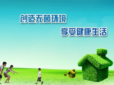 图片11.png