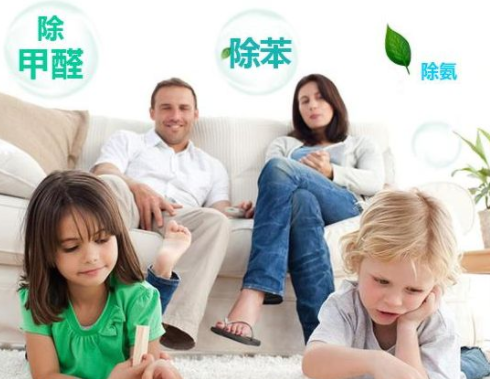 图片 8.png