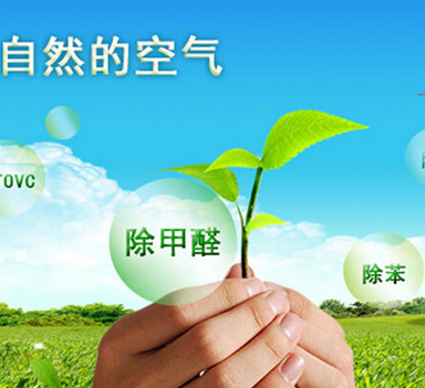图片 26.png