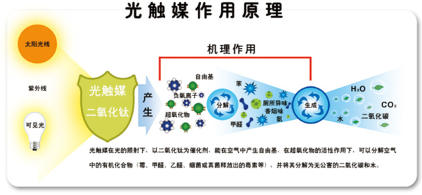 这些有效的除甲醛方法，你都知道吗？